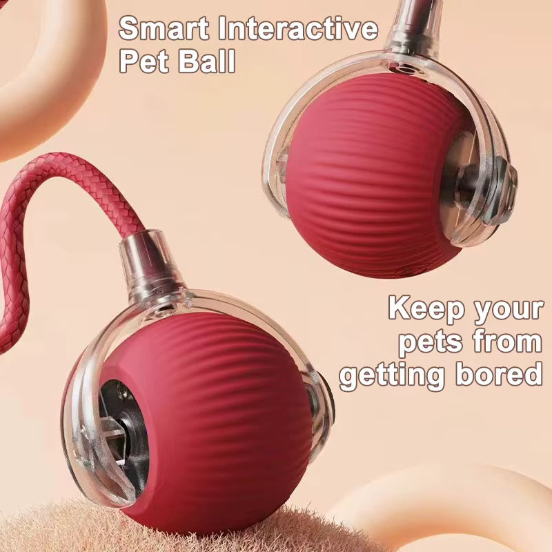 Pet Yo-Yo Ball