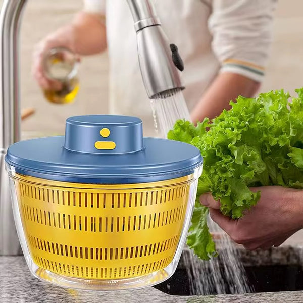 Electric Vegetable & Fruit Dryer