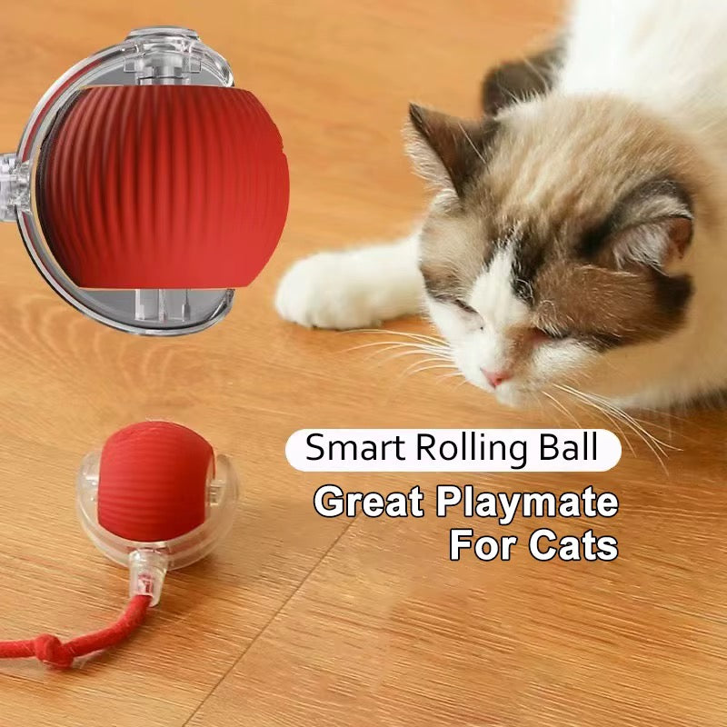Pet Yo-Yo Ball